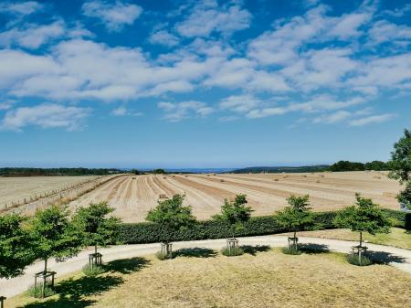 View to fields