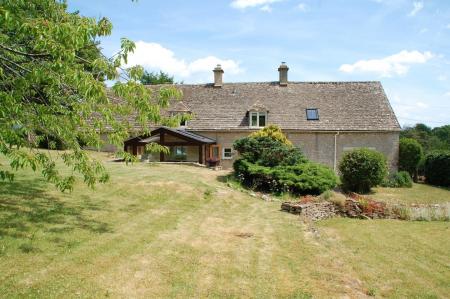 Back Garden 2
