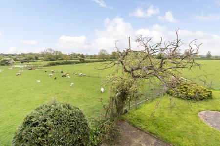 Garden & Views