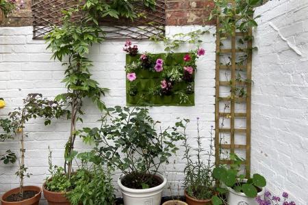 Open  Roof Terrace