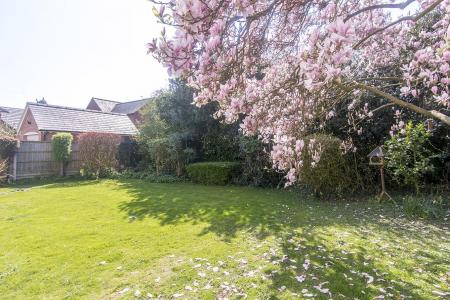 Gardens & Outside