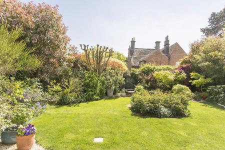 Garden Photo Two