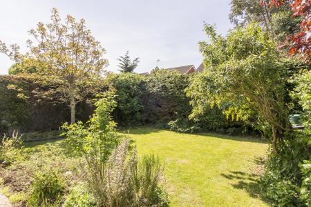 Garden Photo Two
