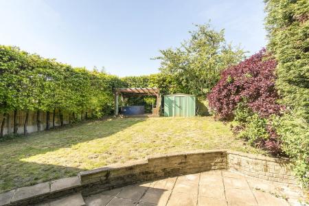 Garden Photo 2