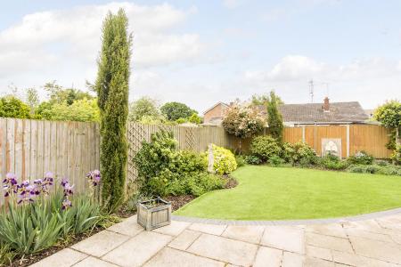 Garden Photo 2