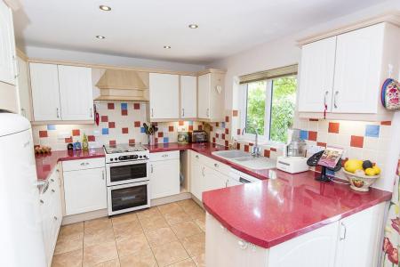 Kitchen Photo