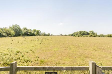 Field Views