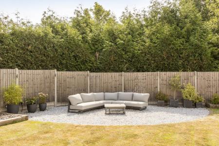 Garden photo 2