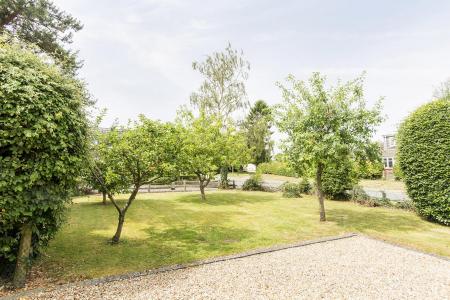 Orchard