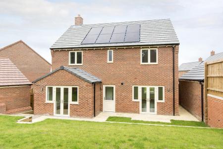 Rear Aspect Photo