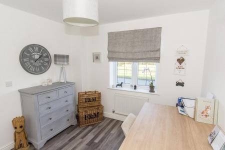 Family Room / Office