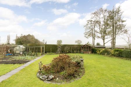 Garden ( Photo Three )