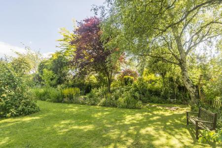 Side Garden Area