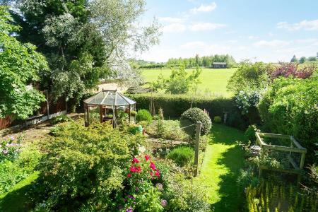 Vegetable Garden