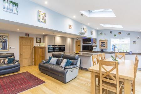 Living/Dining/Kitchen