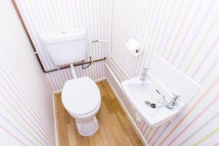 Downstairs WC