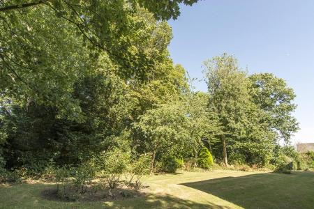 (Communal Gardens Photo Two)