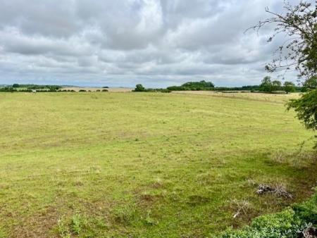 Country Views