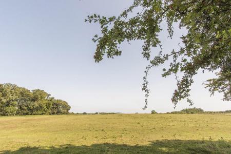 Country Views