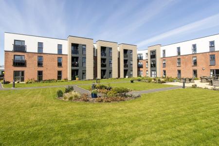 Communal Garden Photo Two