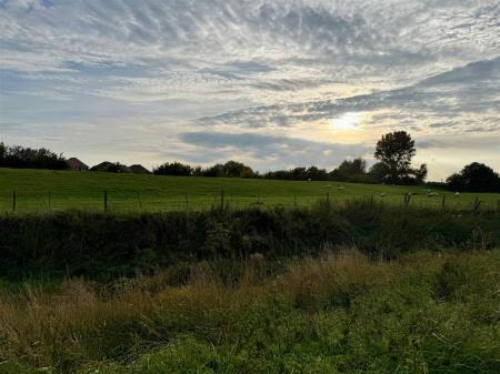 Fields Opposite