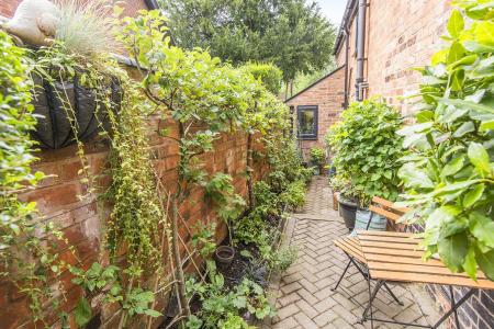 Additional Side Vegetable Garden