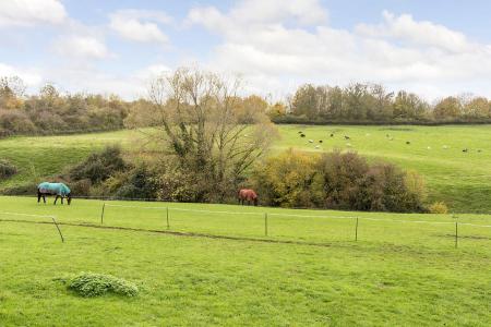 View From Rear Garden