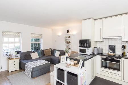 Living Room and Kitchen Area