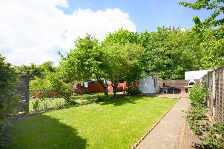 Media image 08