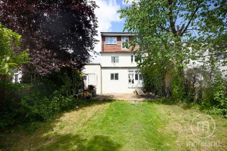 Media image 13