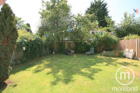 Media image 07