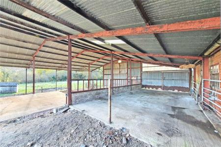 Cattle Shed