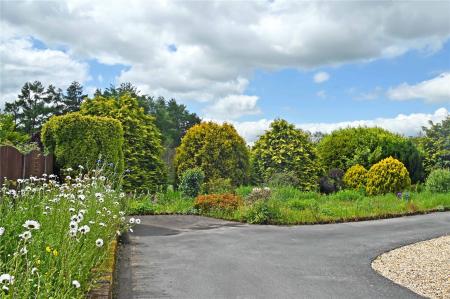 Garden / Driveway