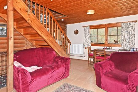 Cabin-Living Room
