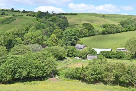 Homestead & Land
