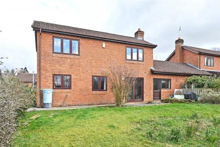 Rear Elevation