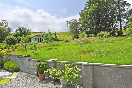 View From Kitchen