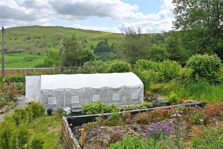 Polytunnel