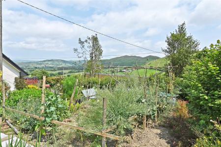 Vegetable Garden