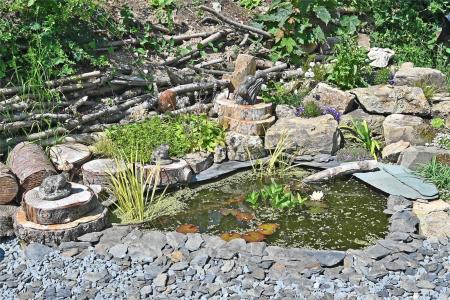 Pond