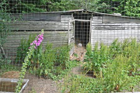 Stables