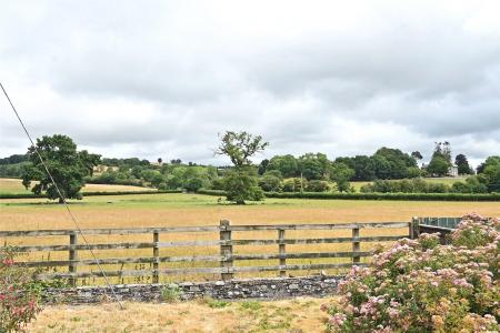 View From Garden