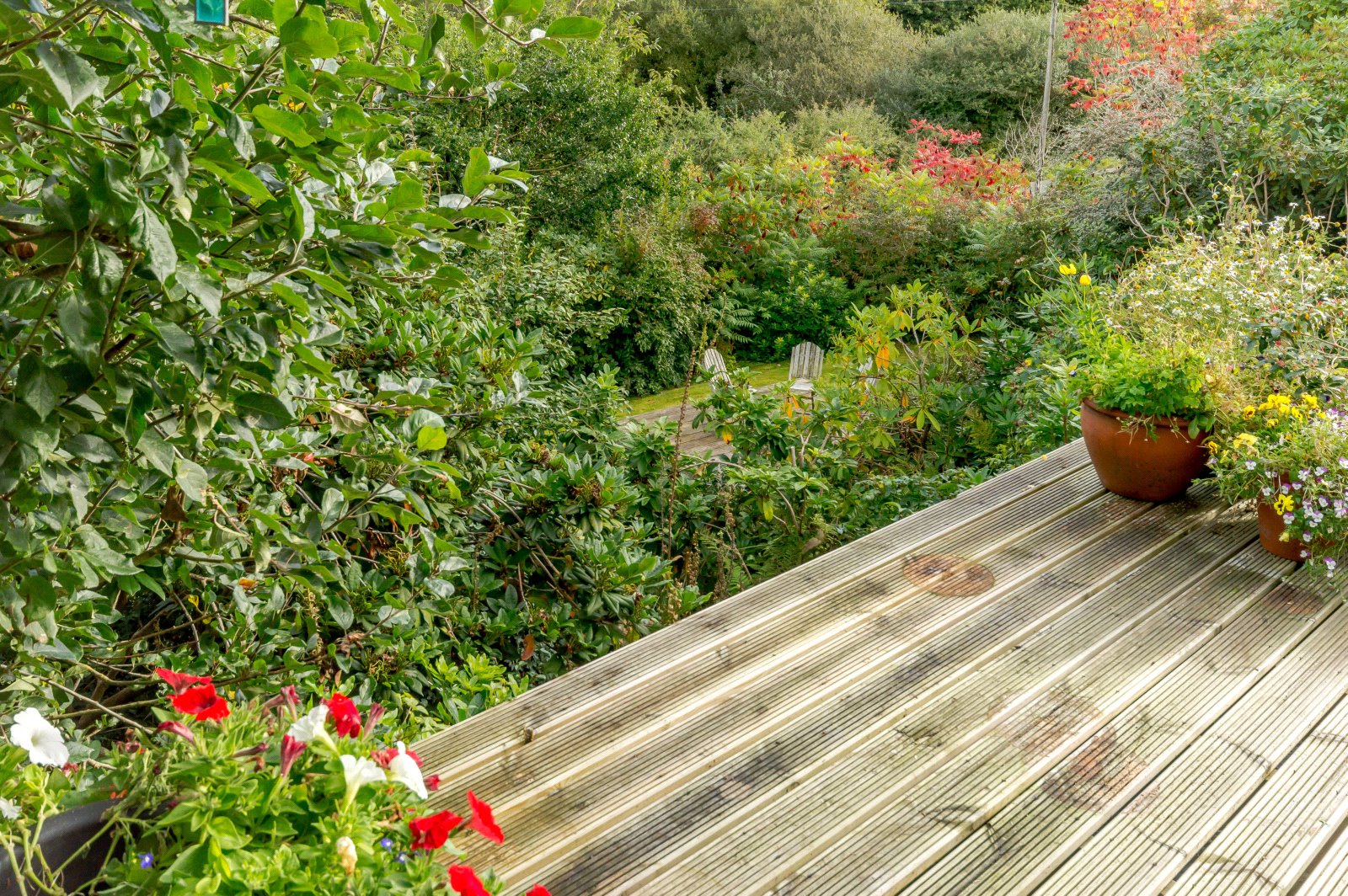 3 bedroom Detached Bungalow for sale in Borth