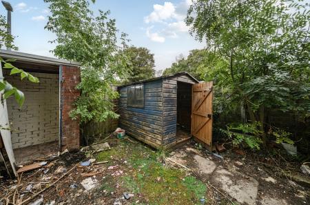 1361060-5-68dabe4...