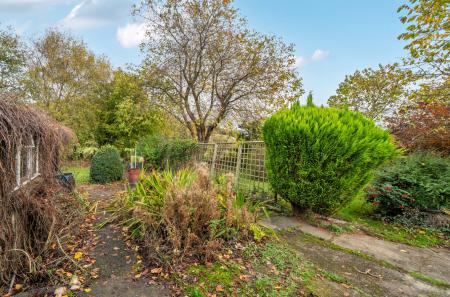 1371349-16-68ff90...