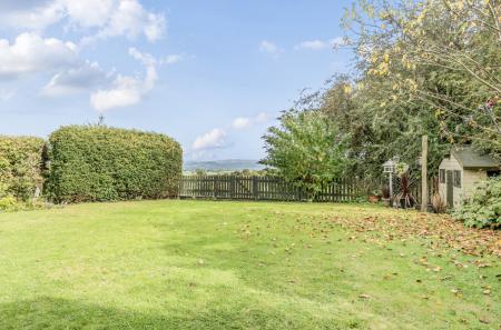 1361446-20-68dd69...