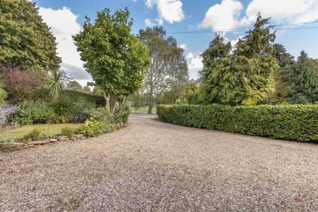 Driveway