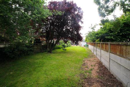 Garden 2.JPG