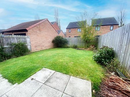 Garden & Driveway