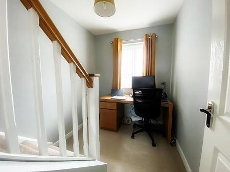 Study Area